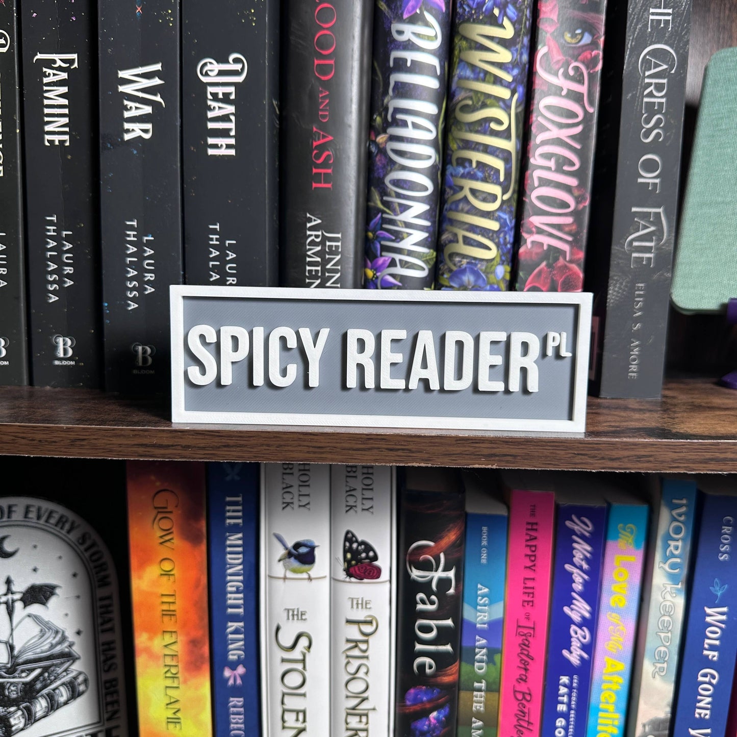 Spicy Reader Street Sign | Bookshelf Decor