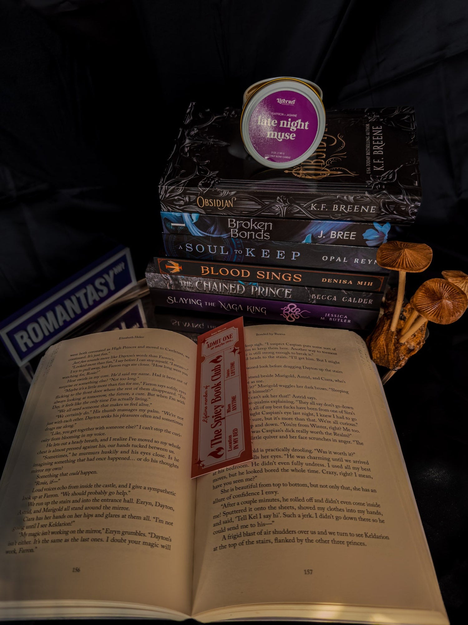 Bookish Accessories