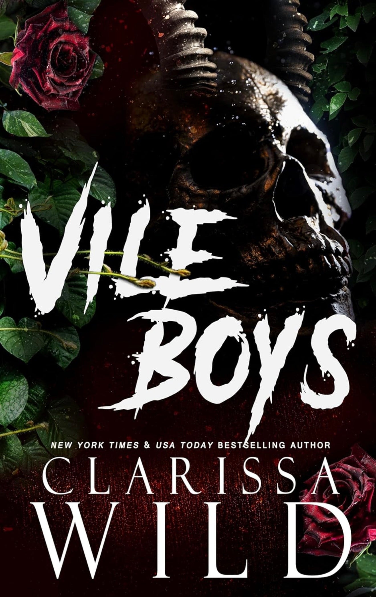 Vile Boys | Clarissa Wild