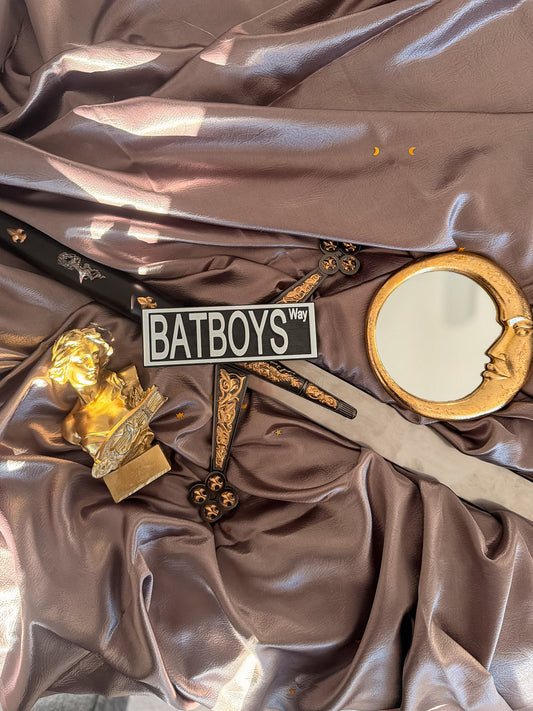 Bat Boys | Bookish Street Sign
