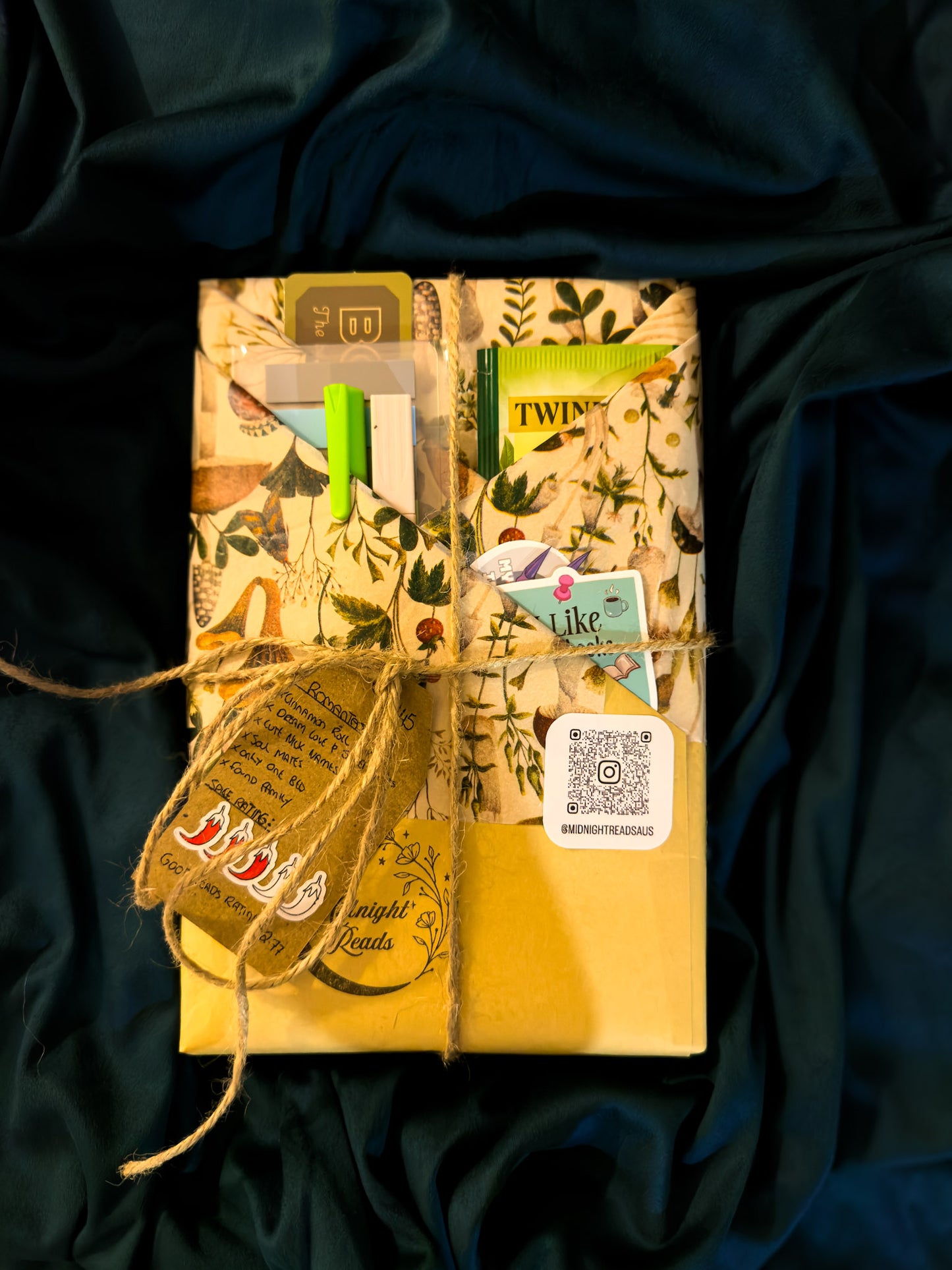 BLIND DATE WITH A BOOK | Dark Fae Shifter Romantasy