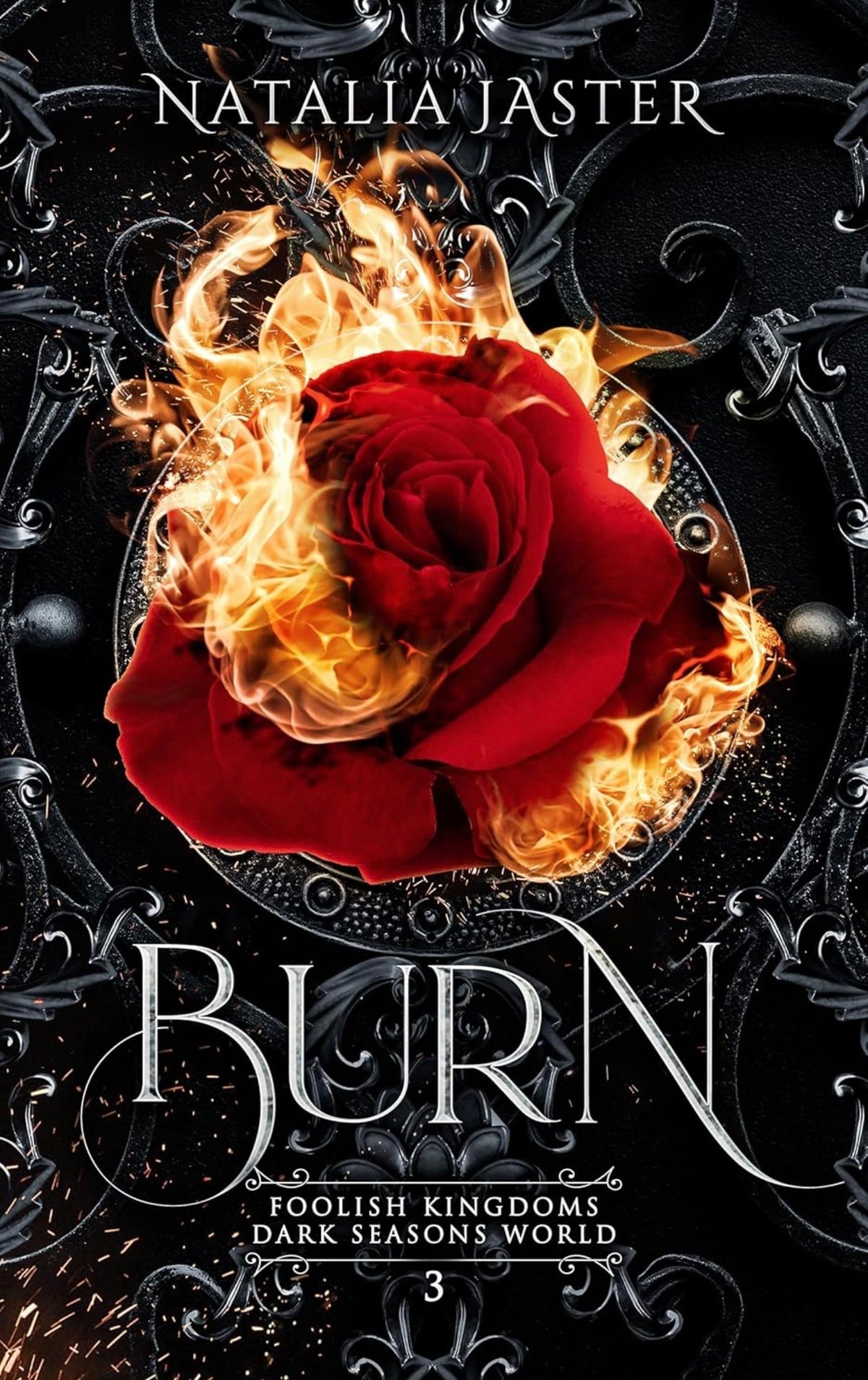 Burn | Natalia Jaster
